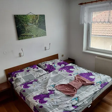 Mayka Guest house 3*